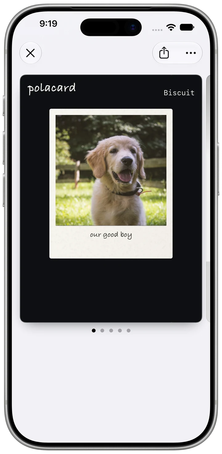A Polacard pass in Apple Wallet showing a golden retriever puppy named Biscuit
